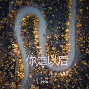 你走以后