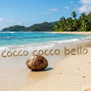 Cocco Cocco Bello