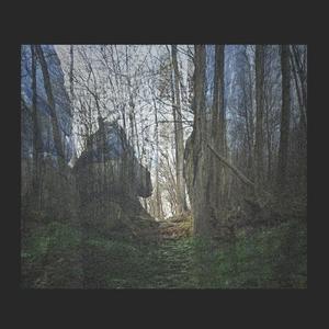 the process of vanishing (feat. Script Recycled)