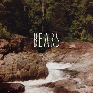 Bears