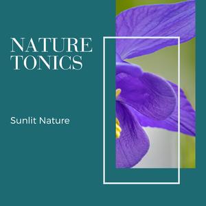 Deeper into the Ocean