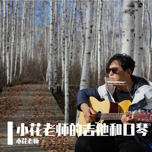 群星-一帘幽梦（口琴吉他版）（小花老师 remix）