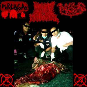 Destruido Sin Piedad