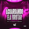 DJ Vilão DS - Aguardando Ela Brotar