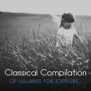 Piano Sonata No. 23 in B Major, Hob. XVI/2c: I. Allegro moderato