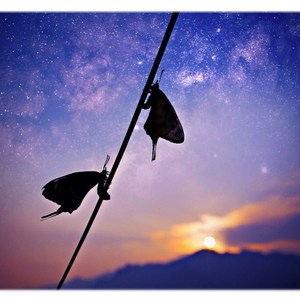 男孩+我要我们在一起（翻自 梁博/李泉）