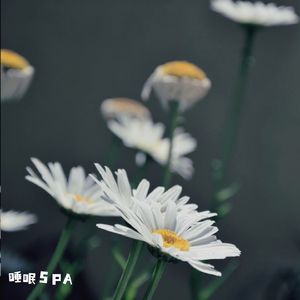 治愈白噪音 身心解压