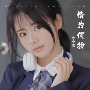 姊姊妹妹站起来 (Live)