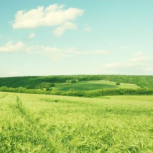 回到那天的懵懂 (8)