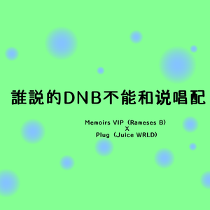 Memoirs VIP X Plug(Mix-Together Bootleg Program)