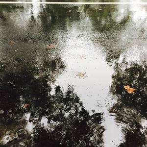 她走过我的黄粱