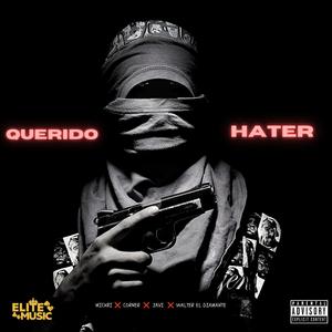 Querido Hater (feat. Javi el Versátil, Mickri & Walter el diamante)
