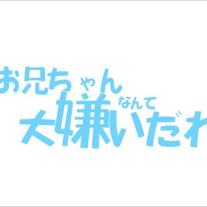 お兄ちゃんなんて大嫌いだわ（哥哥什么的最讨厌了）