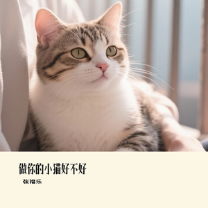 做你的小猫好不好