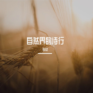 自然界的诗行Prod By Red killer