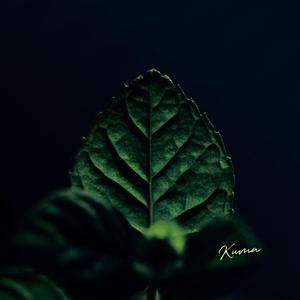 薄荷