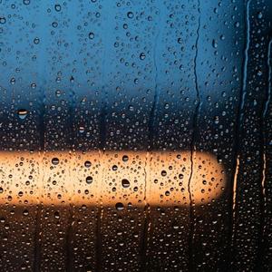 너도 그랬을까?