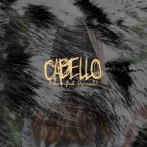 Despigmentador Cabello