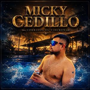 Micky Cedillo