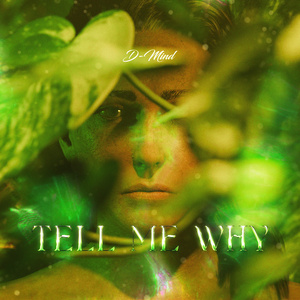 Tell Me Why (Radio Edit)