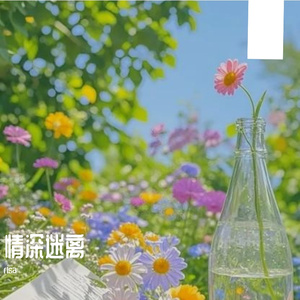 情深迷离