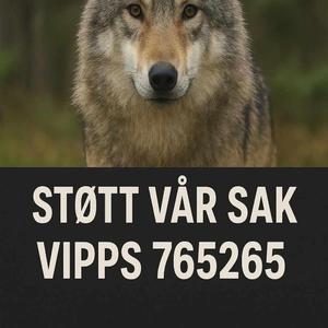 Ulv i hele Norge kamp låt