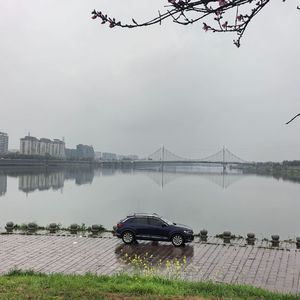 尘风破浪，闪耀出道