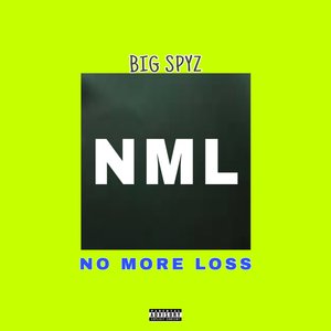 Nml (No More Loss)