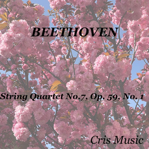String Quartet No.7, Op.59 No.1: 1. Allegro