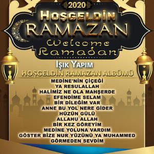 Medine Yoluna Vardım