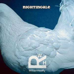 NIGHTINGALE （WilliamHenRy remix）