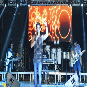 Apelido Carinhoso (Paródia)