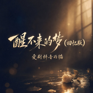 醒不来的梦(回忆版)