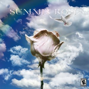 夏日玫瑰 Summer Rose