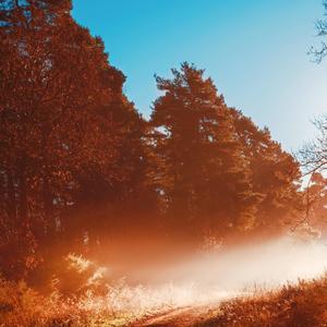 酒店大厅轻音乐