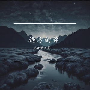 远方的你
