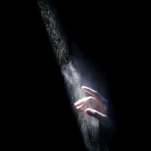 Fly The Lonely Shepherdd