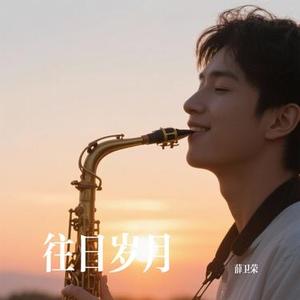 睡在我上铺的兄弟（Cover 老狼）