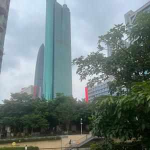 网约车牛马之歌