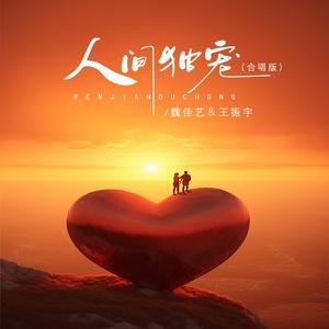 人间独宠 (DJ沈念版|合唱版)