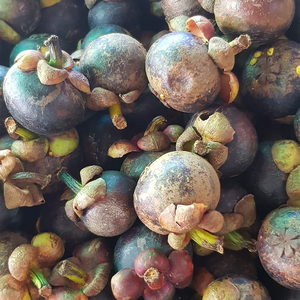 Божественная любовь