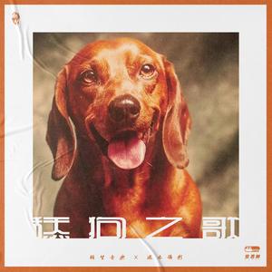 NINEONE#-舔狗之歌(Remix)