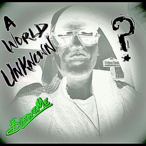 INSTRUMENTAL MUSICIAN