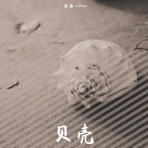 贝壳