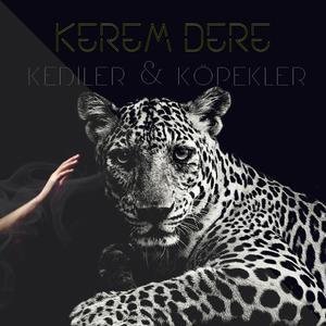 Kediler Köpekler