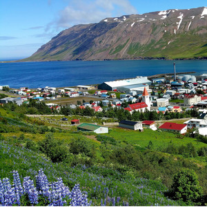 Síldarbærinn