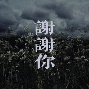 谢谢你（翻自 宋冬野）