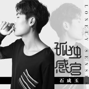 石成玉 - 孤独感官
