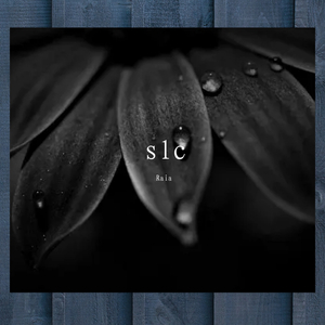 幽灵船的最后一次航行