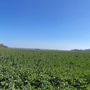 TAKE A LOOK IN A MIRROR